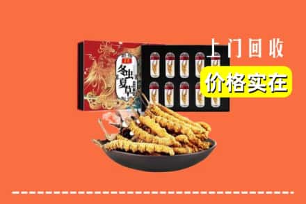 资源县回收冬虫夏草